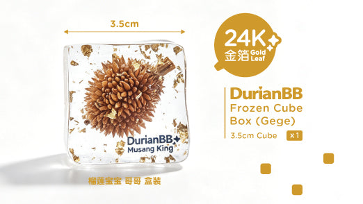 DurianBB Frozen Cube Box - GeGe