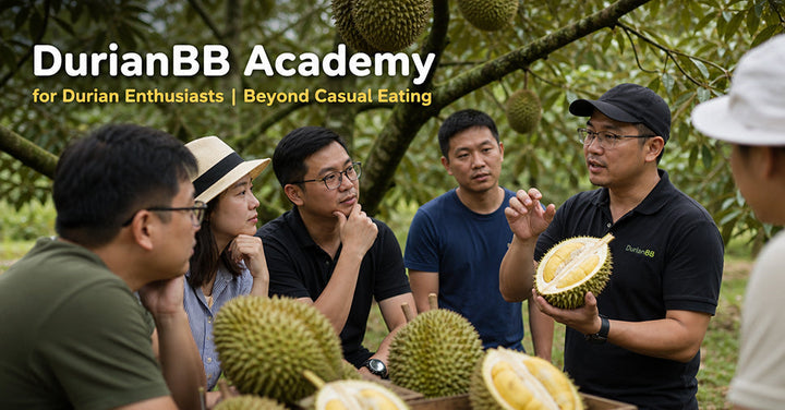 A group of people talking about durian in orchard