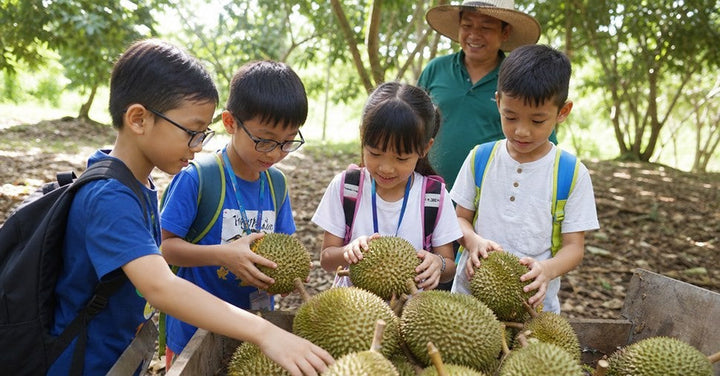 Educational Activities Near KL for Kids | DurianBB Academy