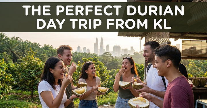 Best Durian Day Trip from KL: A Complete 2026 Itinerary