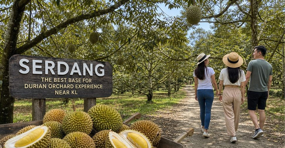 Durian Orchard Experience Selangor: Why Serdang Is the Best Base