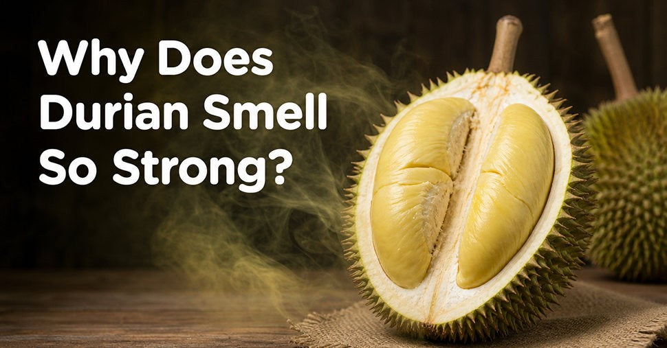 Why Does Durian Smell So Strong? The Science Explained