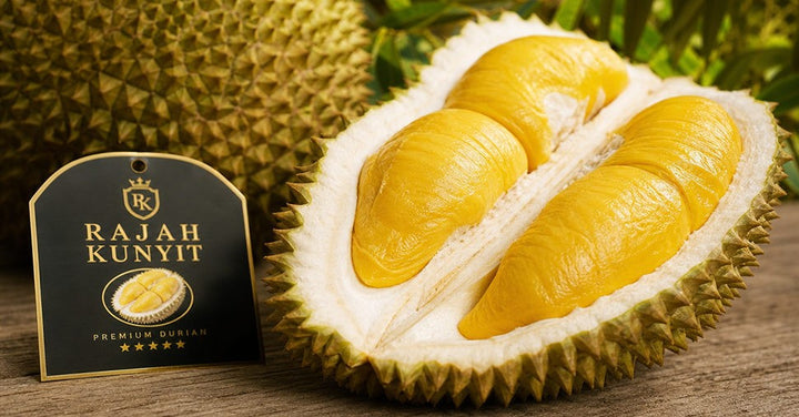 Rajah Kunyit Durian: Malaysia's Golden King Explained