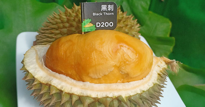 Black Thorn Durian Malaysia: Is the Hype Real?
