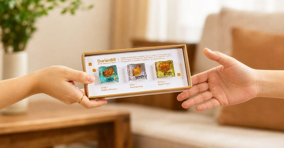 What Is the DurianBB Forever Cube? The World's Most Unique Durian Gift Explained