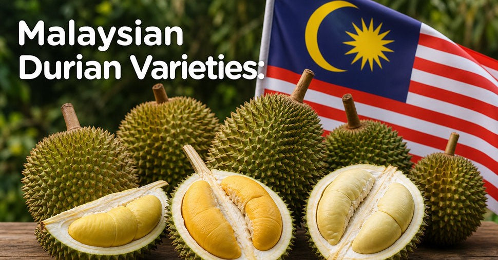 Durian Varieties Malaysia: The Essential Guide
