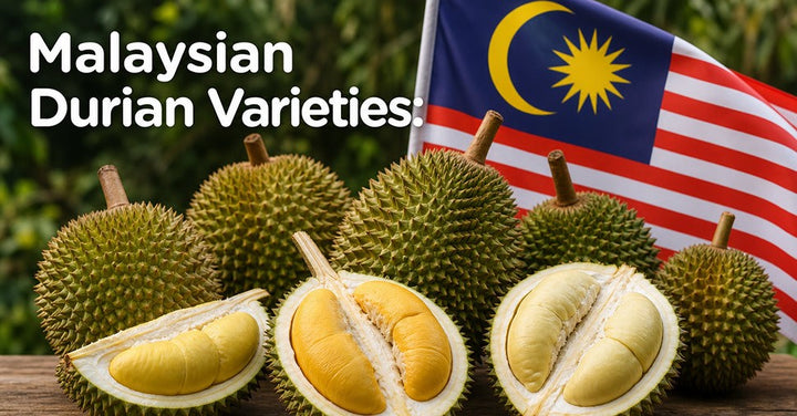 Durian Varieties Malaysia: The Essential Guide