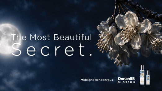 DurianBB Blossom Midnight Rendezvous
