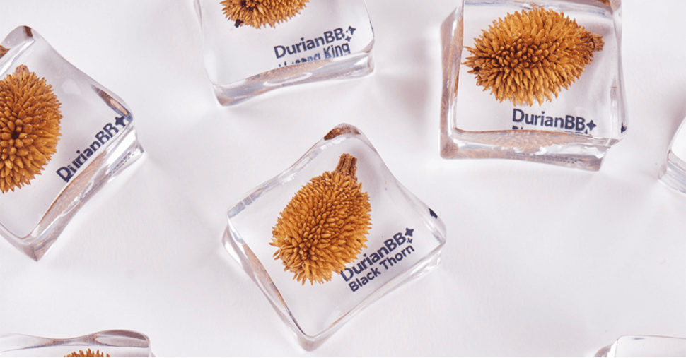 DurianBB Forever Series — Cool Debut!