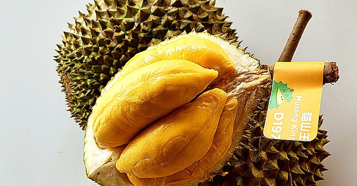 Frequently Asked Questions About Musang King Durian