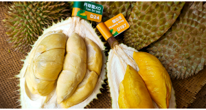 Musang King vs D24: Origins, Taste & Price Compared