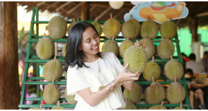 DurianBB Park TRX: Premium Durian at KL's Newest Mall