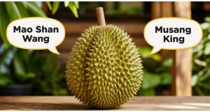 What Is Mao Shan Wang? Musang King's Chinese Name Explained