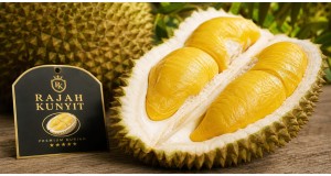 Rajah Kunyit Durian: Malaysia's Golden King Explained