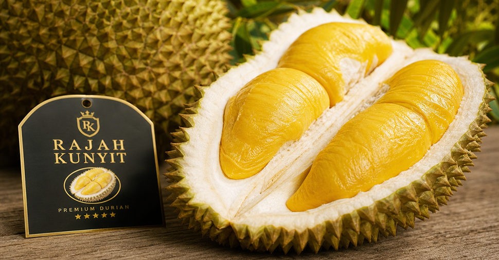 Rajah Kunyit Durian: Malaysia's Golden King Explained