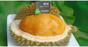 Black Thorn Durian Malaysia: Is the Hype Real?