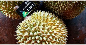 Black Thorn Durian: How to Identify, When to Find & Why It's So Expensive