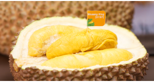 Why Musang King Remains Malaysia's Undisputed King of Fruits