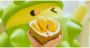 Musang King D197: How to Identify, Understand Grades & Pick the Best Fruit