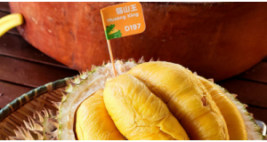 Why Musang King Is Called the Hermès of Durians