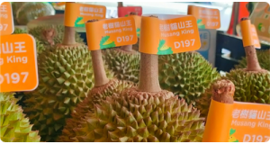 How to Identify Authentic Musang King: The 4 Visual Markers