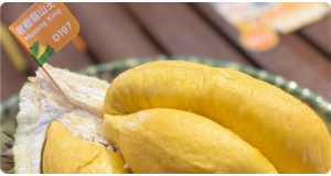 How to Pick a Ripe Musang King Durian (D197): The Sensory Guide
