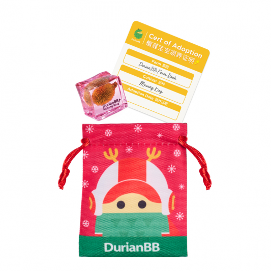 DurianBB Forever Cube – Rainbow Colour Series (Special Edition)