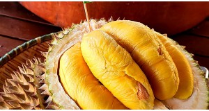 Why Musang King Is Called the Hermès of Durians