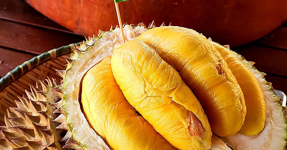 Why Musang King Is Called the Hermès of Durians