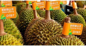 Frequently Asked Questions: Identifying and Choosing Musang King