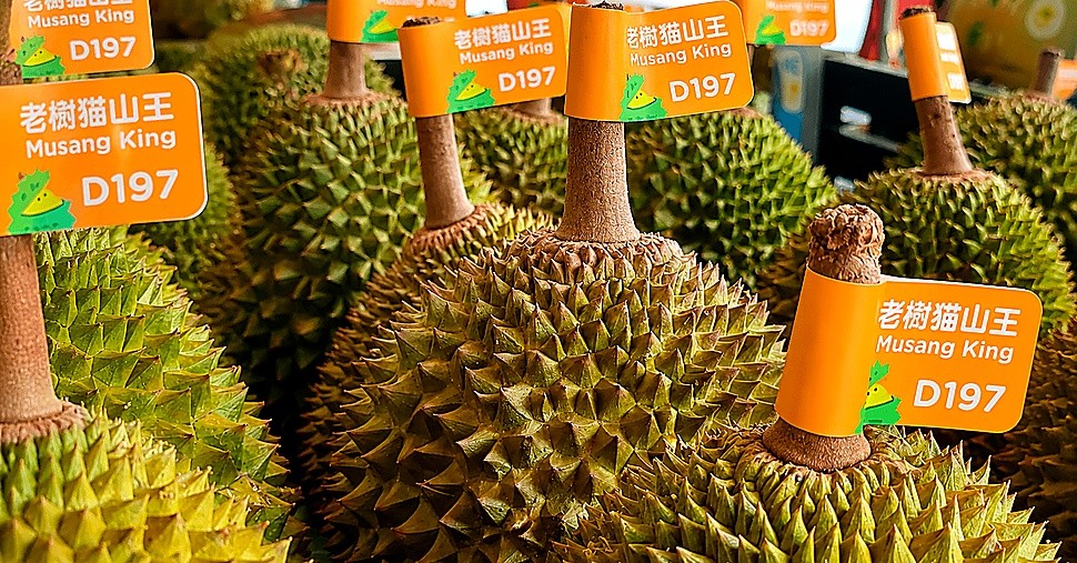 Frequently Asked Questions: Identifying and Choosing Musang King