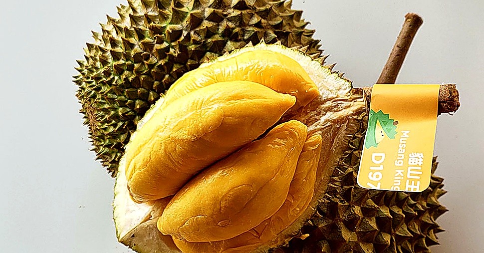 Frequently Asked Questions About Musang King Durian