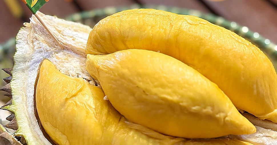 How to Pick a Ripe Musang King Durian (D197): The Sensory Guide