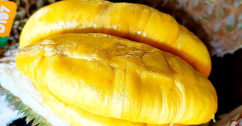How to Identify Authentic Musang King: The 4 Visual Markers