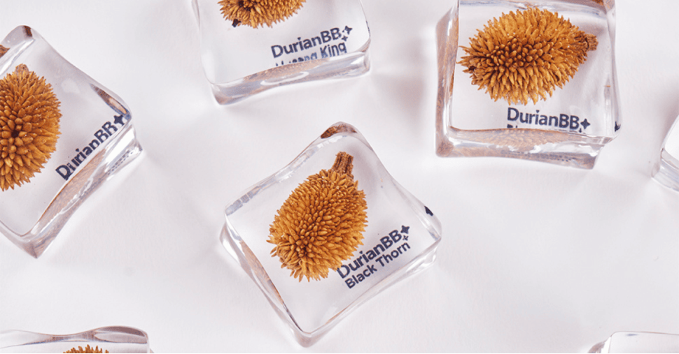 DurianBB Forever Series — Cool Debut!