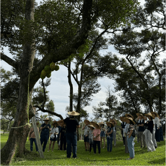 DurianBB Academy Ticket Options