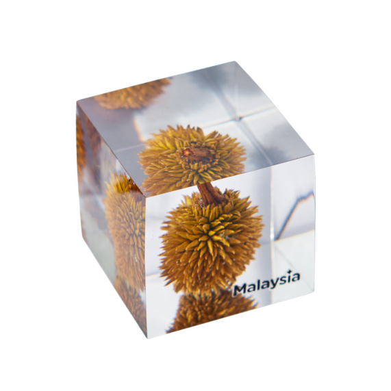 DurianBB Forever Cube