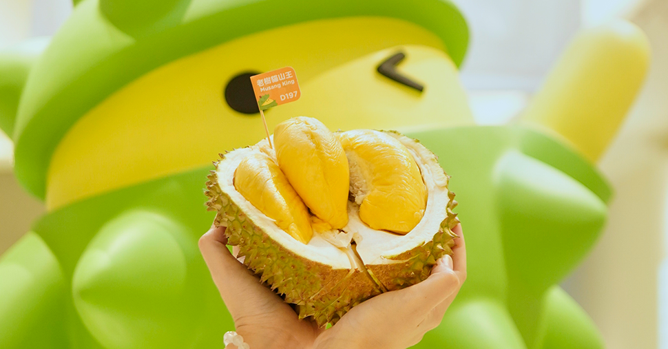 Hand holding an opened durian fruit