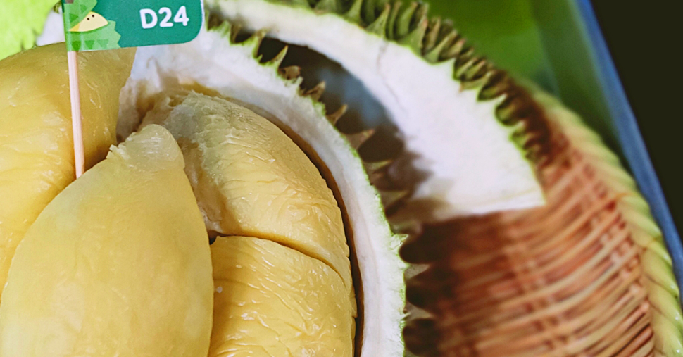 D24 durian with yellow flesh