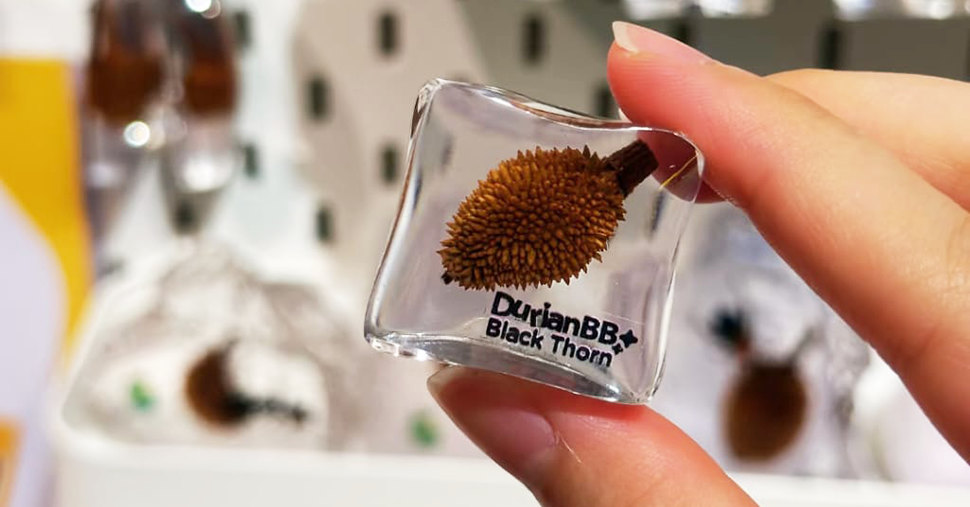 A hand holding a durianbb forever cube
