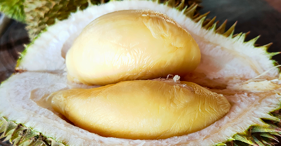 Closeup D24 durian fruit flesh