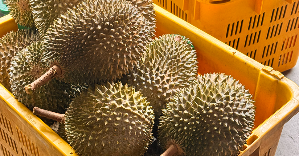 Many durian fruits in a basket