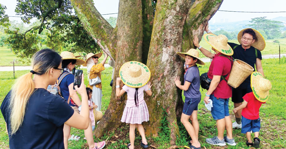 A group of kids surrounding a tree