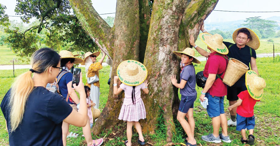 A group of kids surround a tree