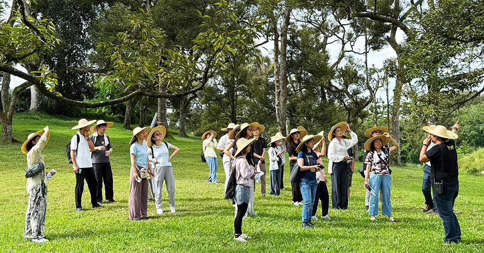 A group of people stand in durian farm