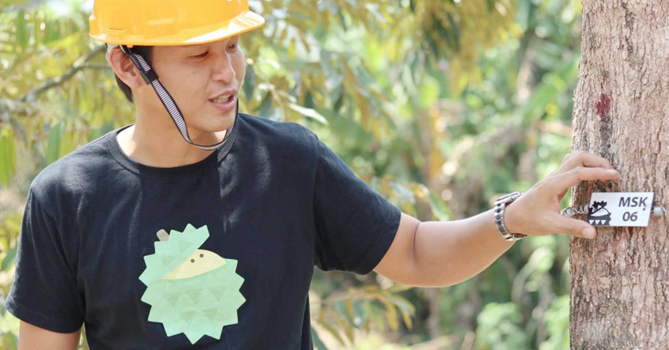 A man wearing a yellow hat touching a tree