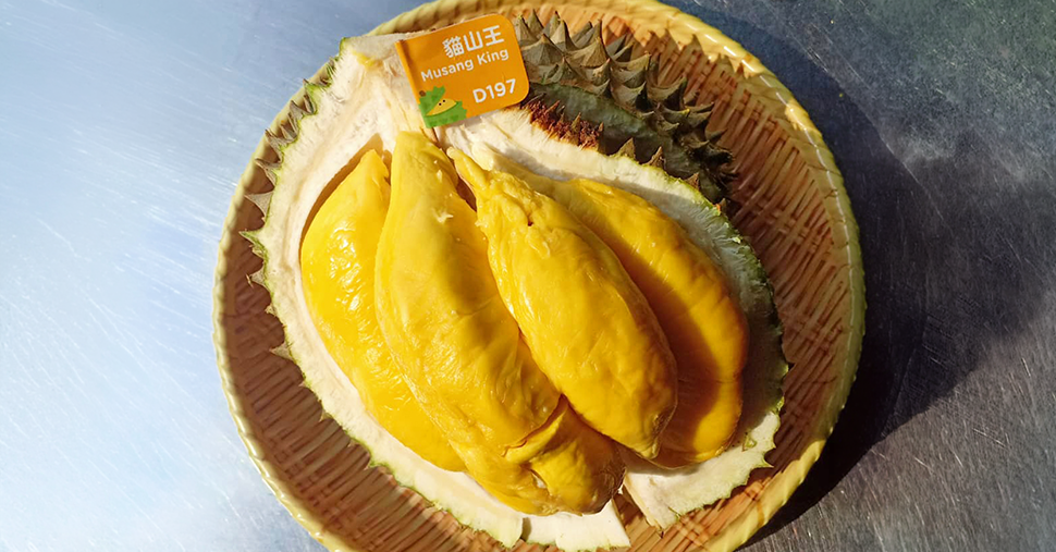 Musang King durian with golden yellow flesh