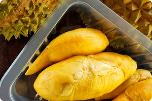 Musang King Durian Base Starfish Pattern