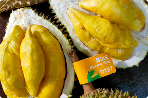 Musang King Bean Shape