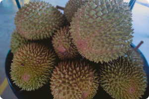 Authentic Musang King Quick Identification